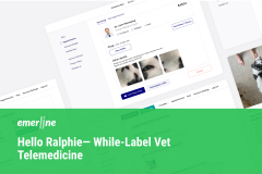 While-Label Vet Telemedicine Solution
